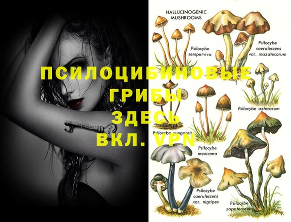 сатива Заводоуковск