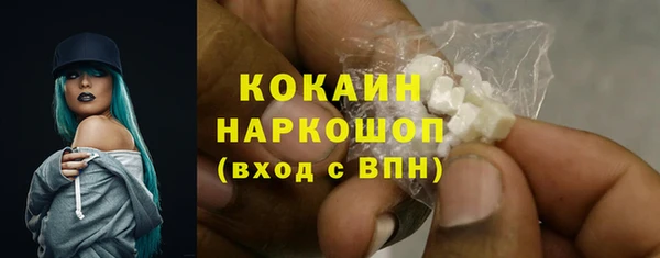 сатива Заводоуковск