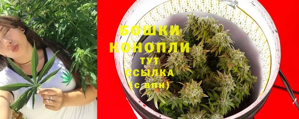 трава Зеленодольск