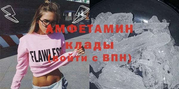 сатива Заводоуковск