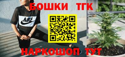 индика Заводоуковск