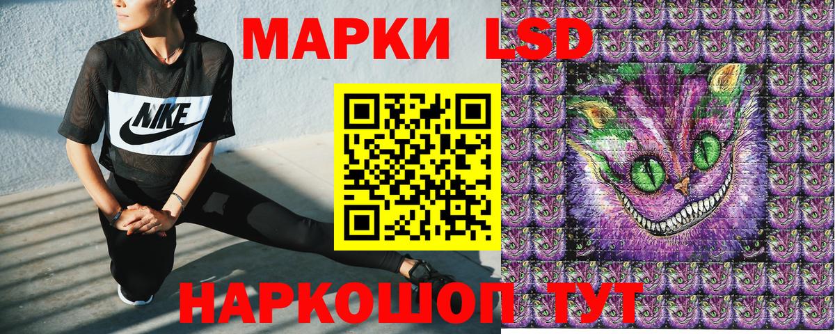 Наркотические марки 1,8мг  Наркотические марки 1,8мг  Вход с VPN  Назрань 