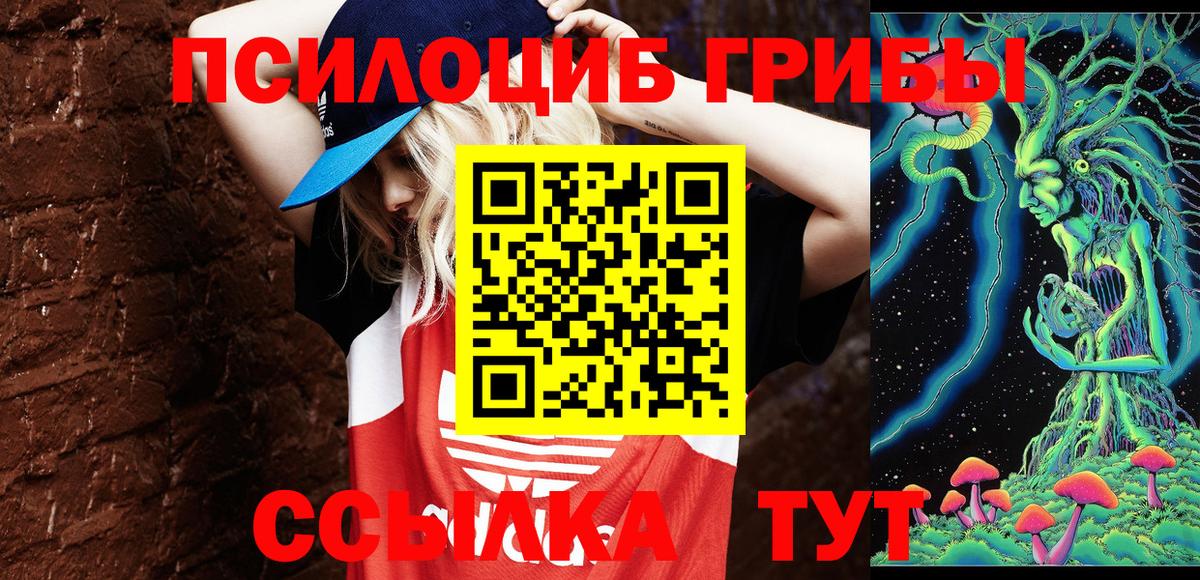 закладка  Вход с VPN  Назрань  Галлюциногенные грибы ЛСД 