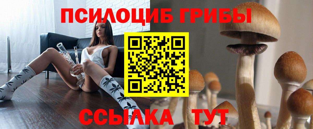 Псилоцибиновые грибы GOLDEN TEACHER Назрань