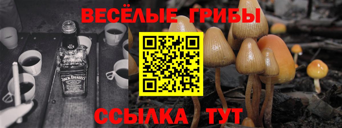 Галлюциногенные грибы MAGIC MUSHROOMS Назрань